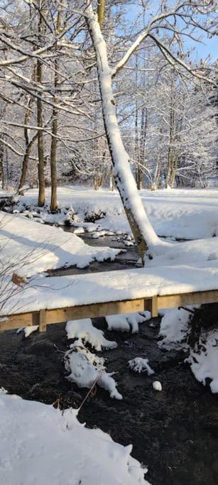 Chatky U Potoka Chatka N3 Olesnice v Orlickych horach Buitenkant foto