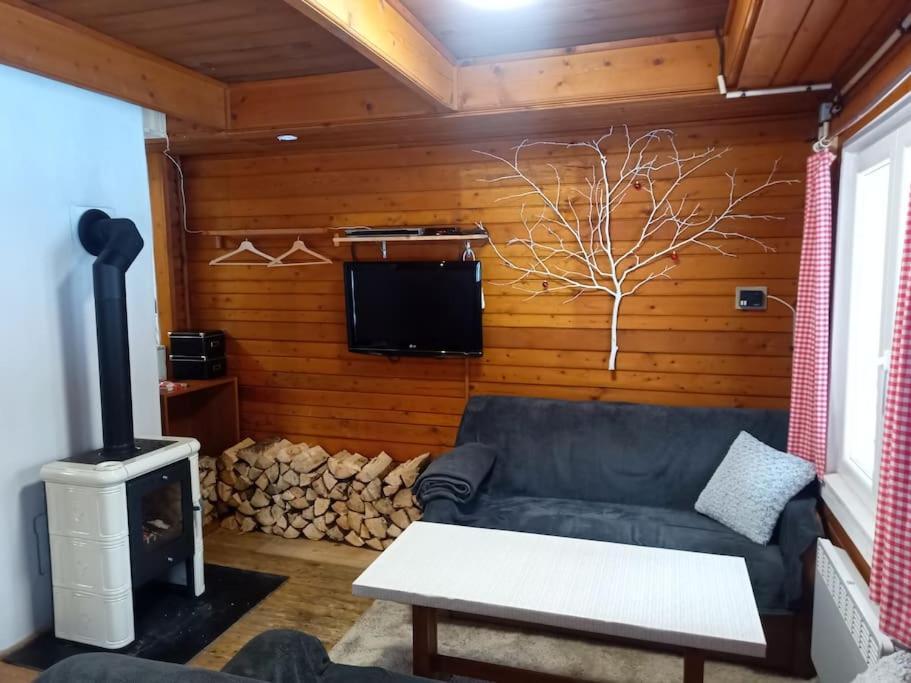 Chatky U Potoka Chatka N3 Olesnice v Orlickych horach Buitenkant foto